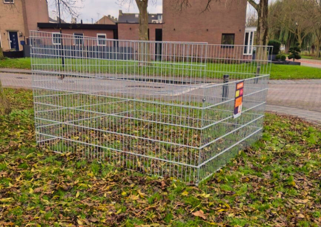 Bladkorf in plantsoen