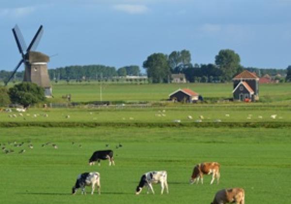 Etersheim, molen