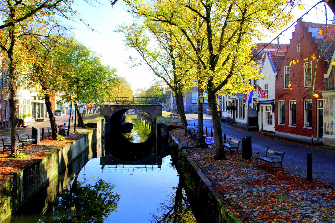 Foto van Edam