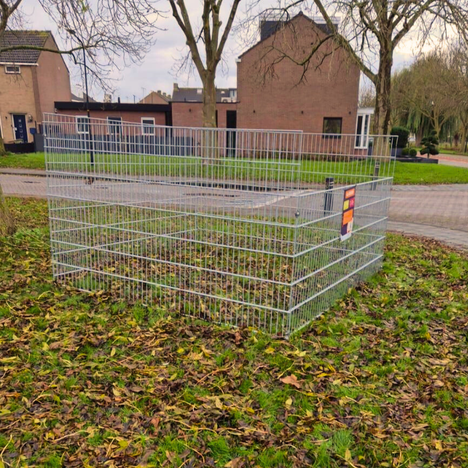 Bladkorf in plantsoen