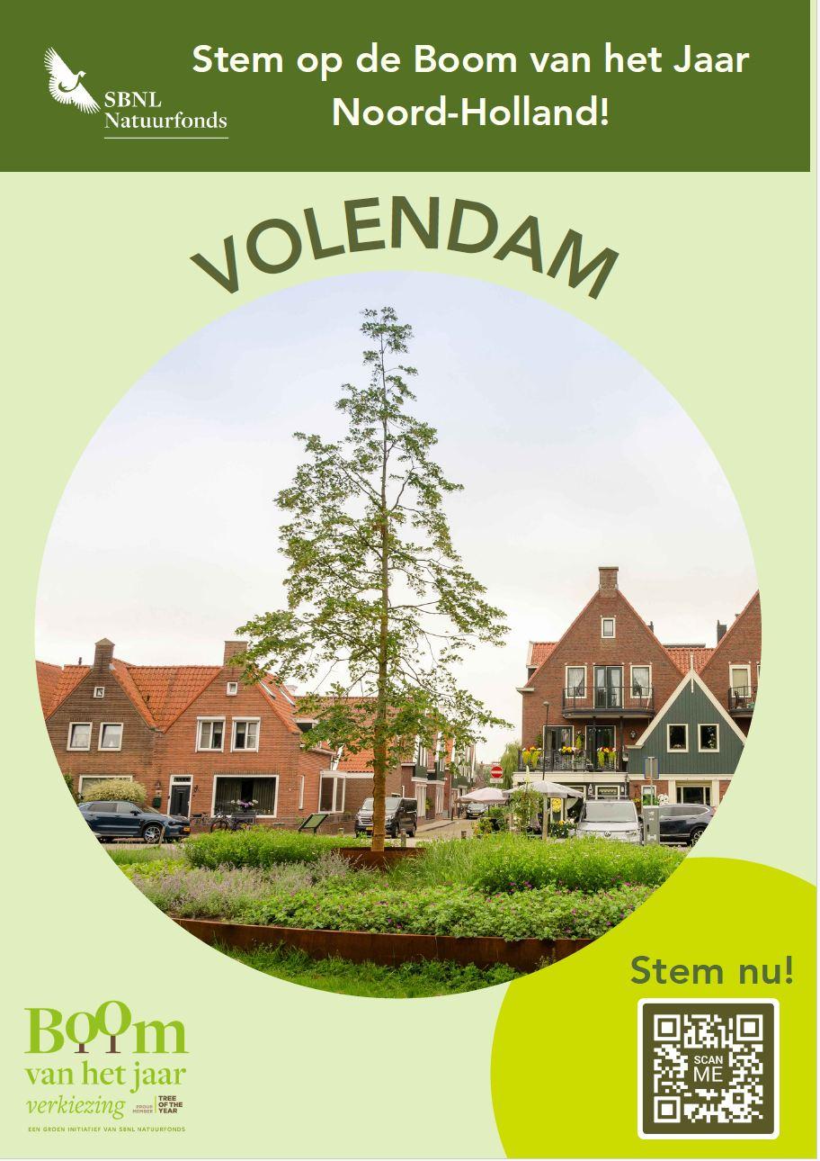 boom van het jaar