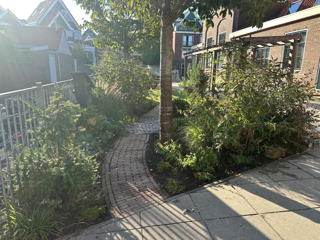 Schoolplein na aanplanten