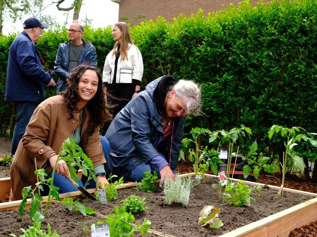 Opening Buurtmoestuin Singelwijk
