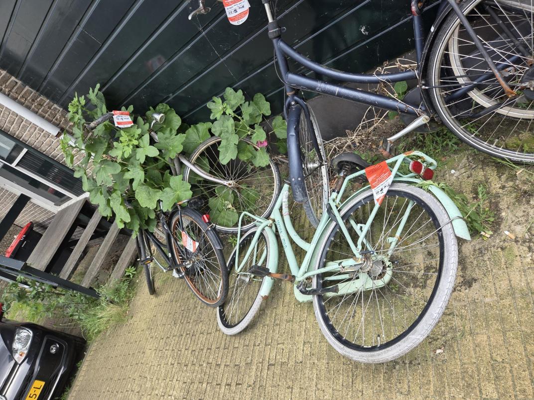 Fietswrakken Garnalensteeg