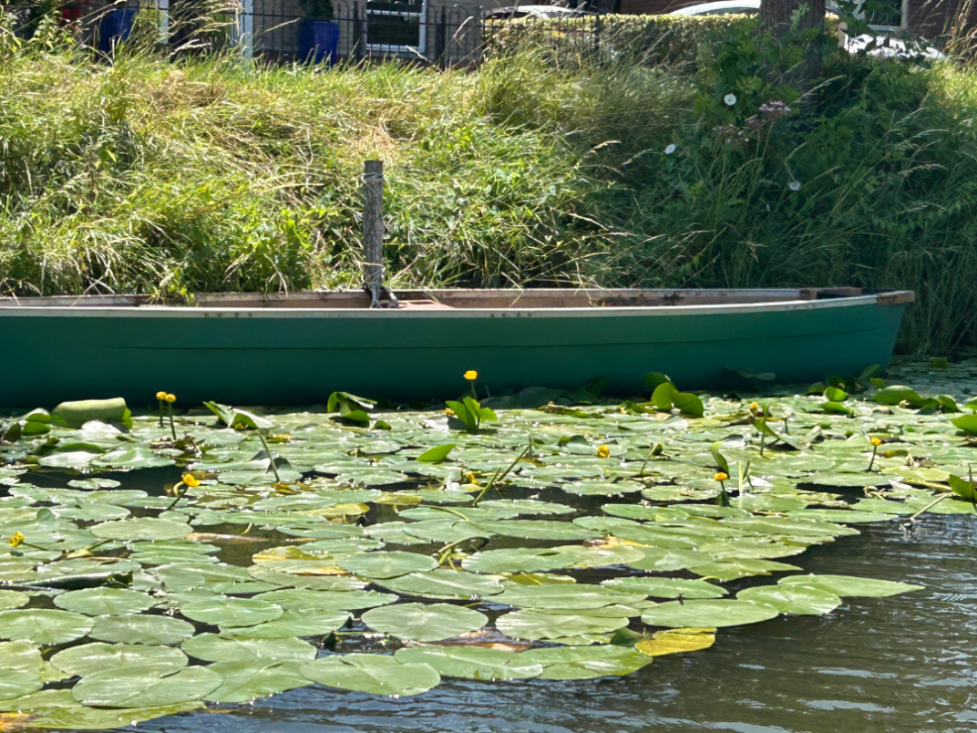 Boten Edam