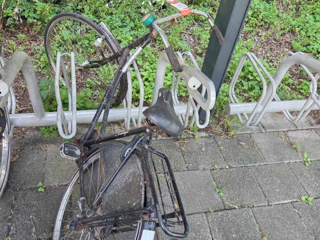 fiets hoornse jaagweg