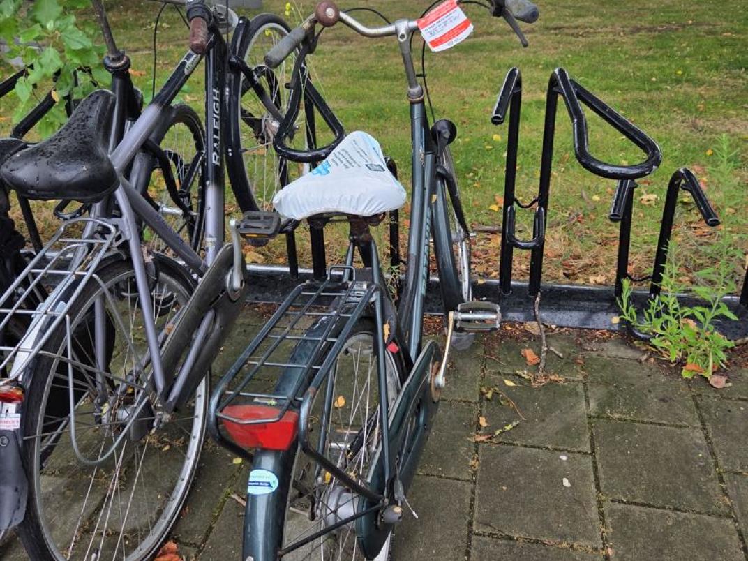 fiets busstation