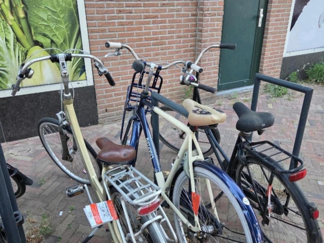 Fietsen Havenhof